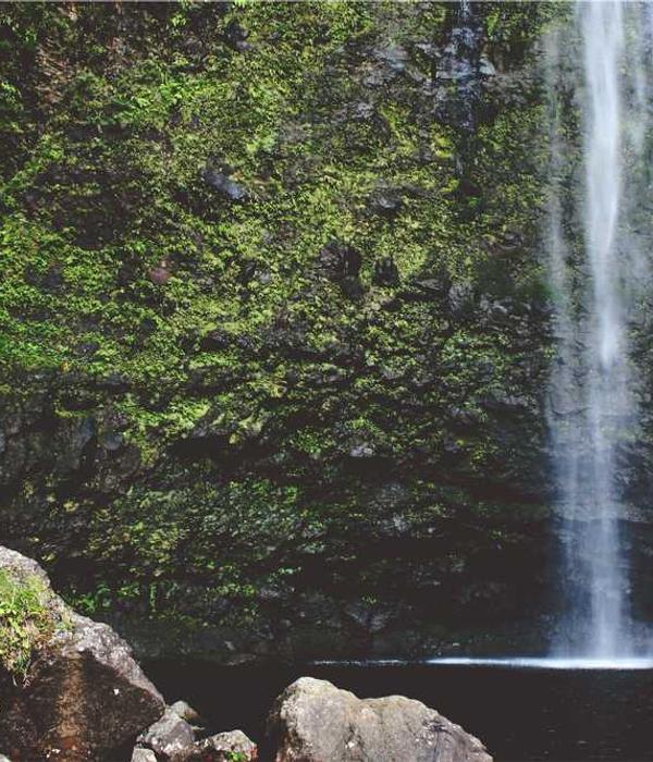 Martex Technologies Team